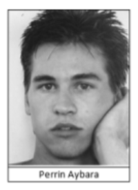 Perrin - Robert Jordan