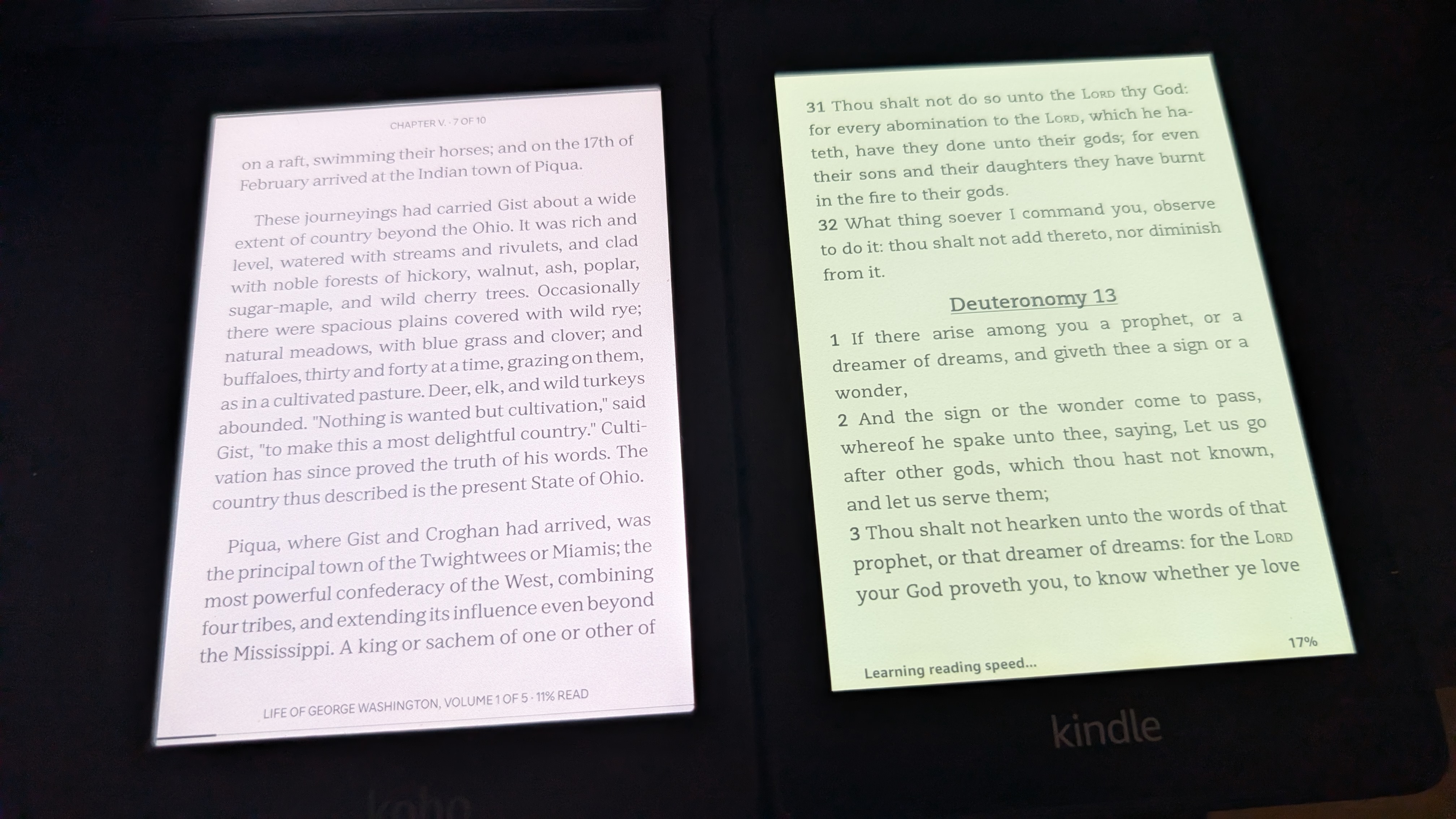 kobo kindle screens